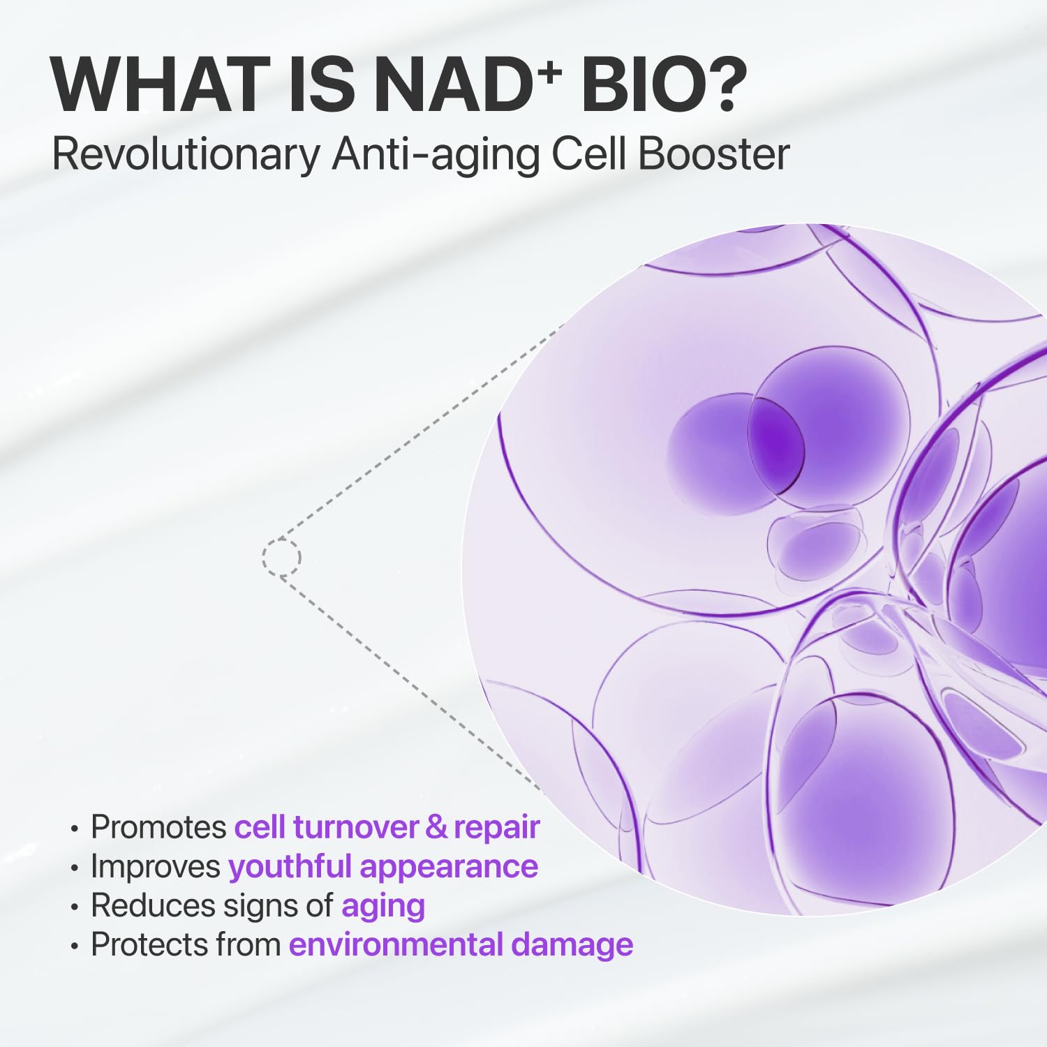 Beauty Of Joseon Ginseng Essence Water 150Ml